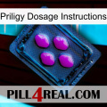 Priligy Dosage Instructions 04